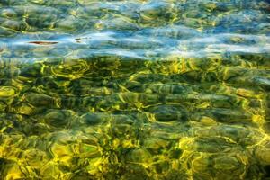 Hintergrund von das Wasser von See traunsee im das Küsten Bereich. bunt Textur von Steine unter Wasser. foto