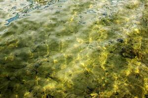 Hintergrund von das Wasser von See traunsee im das Küsten Bereich. bunt Textur von Steine unter Wasser. foto