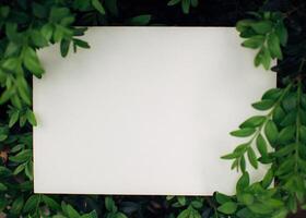 kreativ Layout gemacht von Grün Blätter mit Papier Karte Notiz. eben legen. Natur Konzept foto