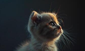 ai generiert Porträt von ein schottisch falten Kätzchen auf ein schwarz Hintergrund foto