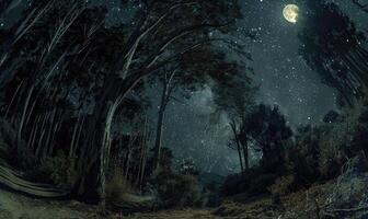 ai generiert mysteriös dunkel Wald mit Sterne im das Himmel. Nacht Wald mit voll Mond und Sterne im das Himmel. foto