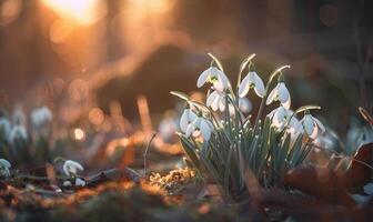 ai generiert Schneeglöckchen Blühen im Wald, Nahansicht Sicht, Bokeh Licht foto