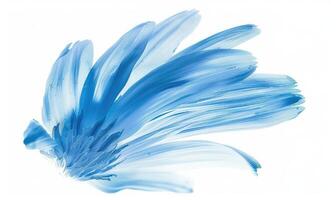 ai generiert Licht Blau Gänseblümchen Blume Blütenblätter auf Weiß Hintergrund. foto