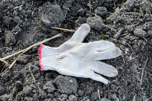 Stoff Handschuhe sind in der Regel benutzt zu schützen Bauern wann Arbeiten foto