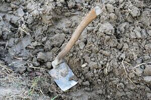 Garten Hacke in der Regel benutzt durch Bauern zu lösen landwirtschaftlich Boden foto