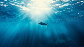 ai generiert Fisch Schwimmen im Ozean mit Sonnenlicht Filtern durch foto