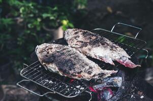 das Rubin Fisch ist beschichtet mit Salz- und platziert auf ein Holzkohle Grill im ein Lehm Ofen. foto