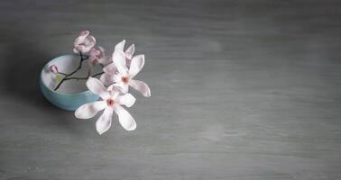 Ast von frisch Pastell- Rosa Magnolie im voll blühen im ein Blau niedrig Vase auf ein grau Grün hölzern Tisch, Frühling immer noch Leben foto