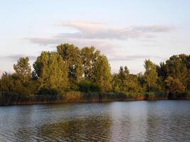 Herbst oder Sommer- bunt Bäume beim das Fluss Seite foto