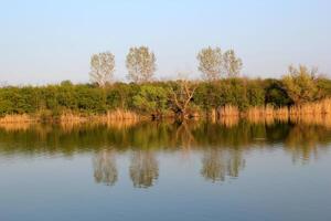 Herbst bunt Bäume reflektieren im still Fluss foto