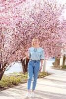 jung Frau Reisender suchen Kirsche Blüten oder Sakura Blume Blühen foto