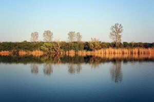 Herbst bunt Bäume reflektieren im still Fluss foto