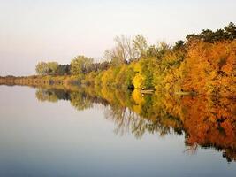 Herbst bunt Bäume reflektieren im still Fluss foto