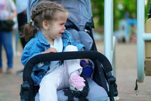 wenig kaukasisch Mädchen gekleidet im ein Denim Jacke sitzt im ein Kinder- Pferd und weint foto