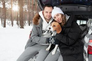 ein jung Familie von Reisende ein Kerl und ein Mädchen sind Sitzung im das Kofferraum von ihr Auto im ein Umarmung mit ihr Freund Hund Beagle. Winter Wald auf das Hintergrund. Reisen mit ein Hund durch Auto foto