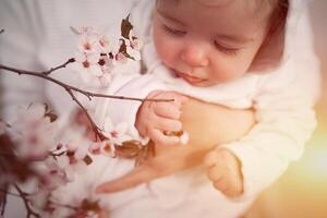 Baby berühren Blumen. Kinder- Hände Nahansicht foto