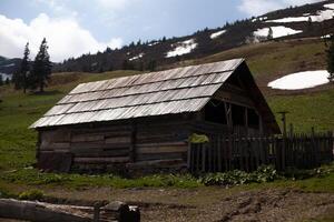 alt hölzern Haus im das Karpaten Wald foto