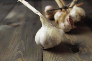 würzig Würze Kopf von Knoblauch auf grau Hintergrund Nahansicht mit Raum zum Kopieren Raum Text. saisonal Gemüse foto