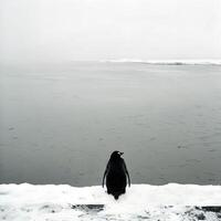 ai generiert Nachdenken Pinguin, geeignet zum das kalt, einsam Betrachtung foto