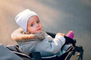 das wenig Mädchen wendet sich zurück Sitzung im ein Baby Wagen auf ein gehen im das Park. foto