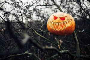 Halloween Kürbis mit unheimlich Gesicht im das dunkel Wald foto