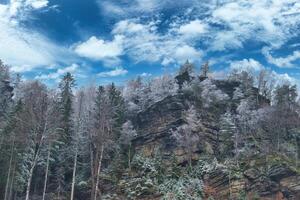 zschirnstein mit schneebedeckt Bäume und Sonnenaufgang im Nebel, auf das Gipfel, Wanderung. foto