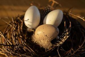 Ostern Eier im Nest unter Sonnenuntergang Licht. Frühling Gruß Karte foto