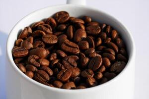 geröstet Kaffee Bohnen im Weiß Tasse auf isoliert Hintergrund. schließen oben von Kaffee Bohnen. foto