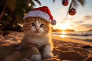ai generiert süß Kätzchen im Santa claus Hut auf tropisch Strand foto