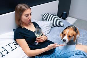 jung schön Frau spielen mit Hund Sitzung auf Bett im ein stilvoll Schlafzimmer. Frau im einer Hand halten ein Glas von Wein foto