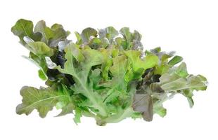 frische grüne Salatblätter isoliert auf weiß foto