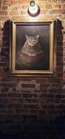 ein Katze auf das Mauer foto
