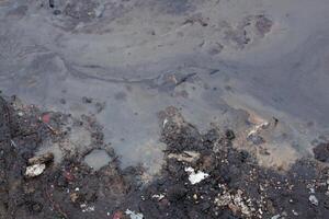 Foto von schmutzig Öl Schaum beim Fluss Wasser