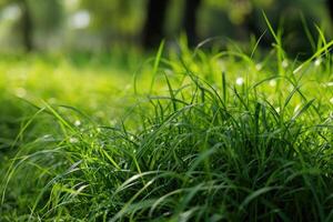 ai generiert beschwingt, nachhaltig Grün Gras foto