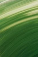 vertikaler abstrakter grüner Hintergrund von bunten Halbkreisen von geschwungenen Linien. foto
