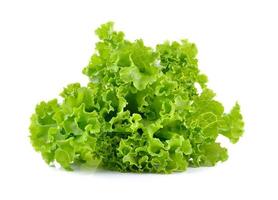 frischer grüner Salat