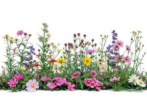 ai generiert isoliert Blumen zum Garten Design und Landschaftsbau. foto