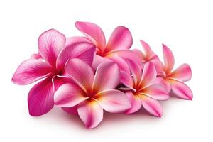 ai generiert Gruppe von Rosa Frangipani isoliert auf Weiß foto