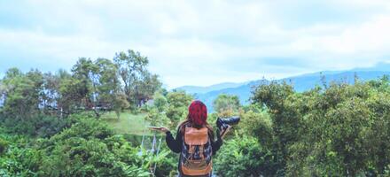 frauen reisen foto naturbildung. natur entspannen studieren ein buch lesen. im Sommer im öffentlichen Park. in Thailand