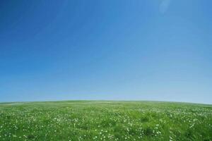 ai generiert idyllisch Grün Wiese unter Blau Himmel foto