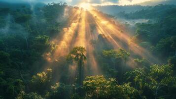 ai generiert Sonne leuchtenden durch Wolken im Urwald foto