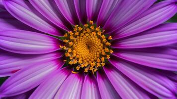 ai generiert violett Blume Makro Schuss schafft ein atemberaubend und beschwingt Hintergrund foto