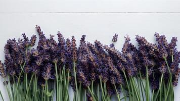 ai generiert Banner Kopieren Raum mit frisch Lavendel Blumen auf Weiß Hintergrund foto