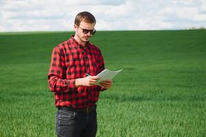 jung Farmer auf ein Weizen Feld. jung Weizen im Frühling. Landwirtschaft Konzept. ein Agronom untersucht das Prozess von Reifung Weizen im das Feld. das Konzept von das landwirtschaftlich Geschäft. foto