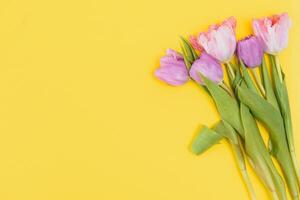 frisch Frühling Tulpen Blumen Konzept Frau Tag Gruß Karte Mutter Tag Valentinsgrüße Gelb Hintergrund natürlich Licht selektiv Fokus foto