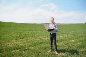 Farmer Stehen im jung Weizen Feld Prüfung Ernte und suchen beim Laptop. foto