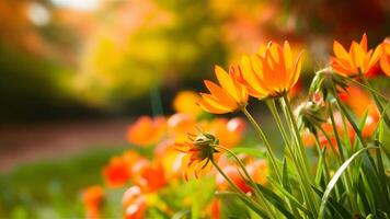 ai generiert verschwommen Hintergrund erfasst schön Herbst Blumen im fallen Garten Park foto