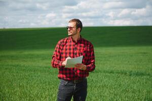 ein Agronom untersucht das Reifung Prozess von jung Weizen im das Feld. landwirtschaftlich Geschäft Konzept. das Farmer funktioniert auf ein Weizen Feld und inspiziert das Qualität von Weizen Sprossen. foto