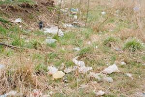 ökologisch Verschmutzung von Natur. Plastik Tasche verheddert im Pflanzen gegen das Hintergrund von das Berge. global Umwelt Verschmutzung. Recycling, Clearing das Land von Plastik Trümmer. foto