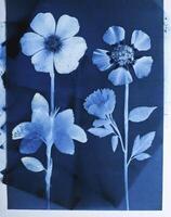 ai generiert ein eben Scan von ein Cyanotyp von ein Blume mit Blau Papier foto